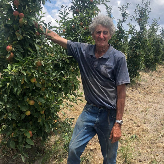 Denis_Angelino_Stanthorpe_Apples_Gran_Elly_Orchard