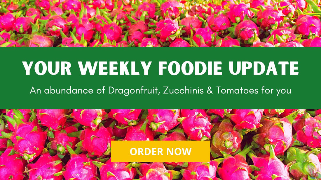 Farmacy Weekly Report 2023 Week #8