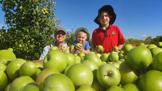 Mario Giacosa - Apples - Wheel In Orchard Thulimbah