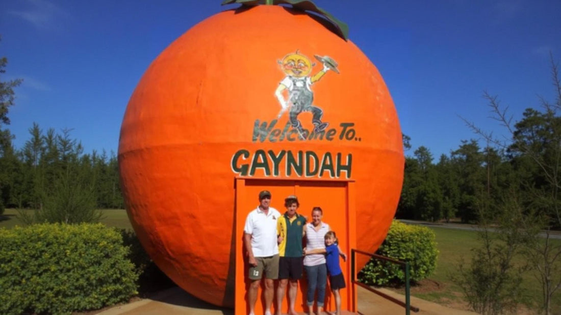 Neil & Tania Richards - Oranges - Gayndah's Big Orange