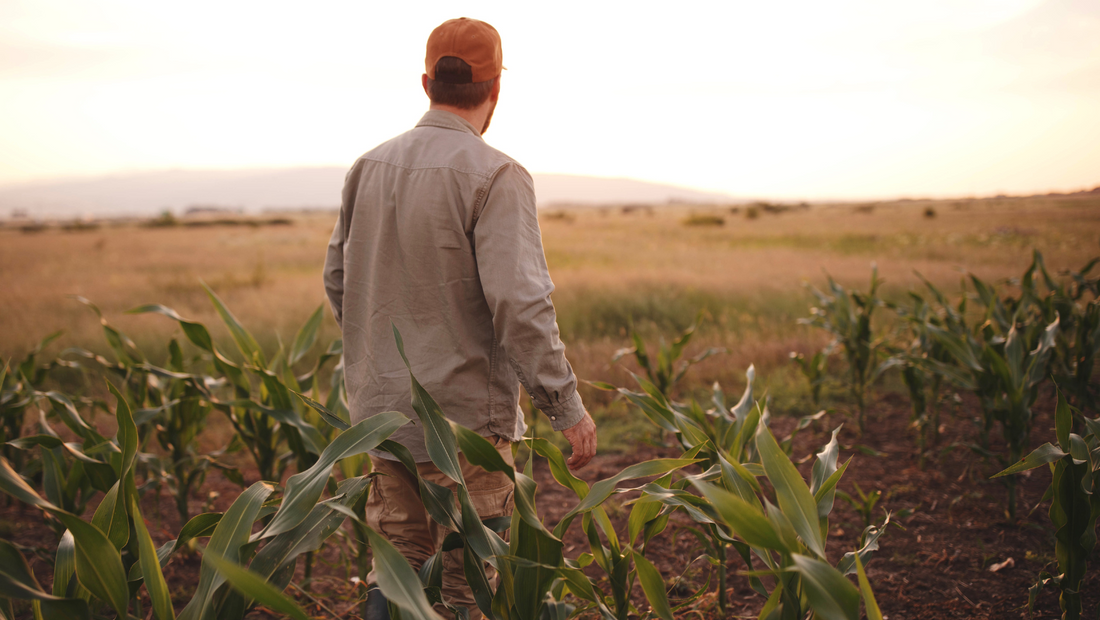 farmer-mental-health-suicide-prevention-australia-regenerative-farming-organic