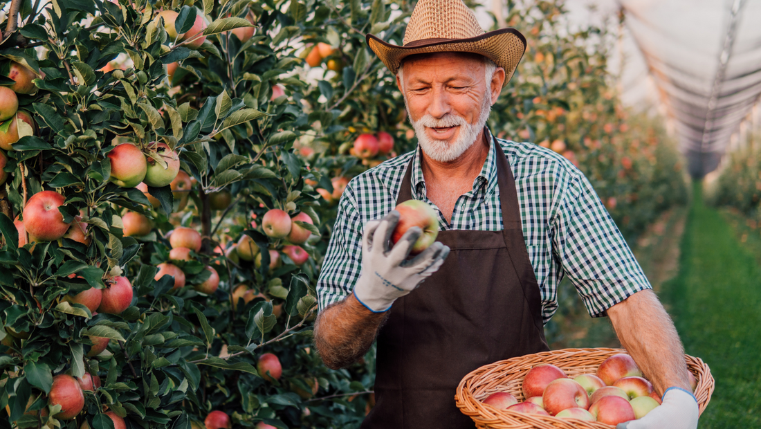 Your Guide to the Dirty Dozen and Clean Fifteen 2025