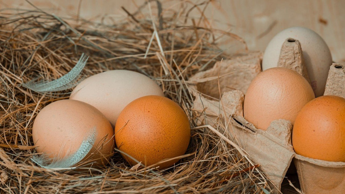 Has your egg been washed?