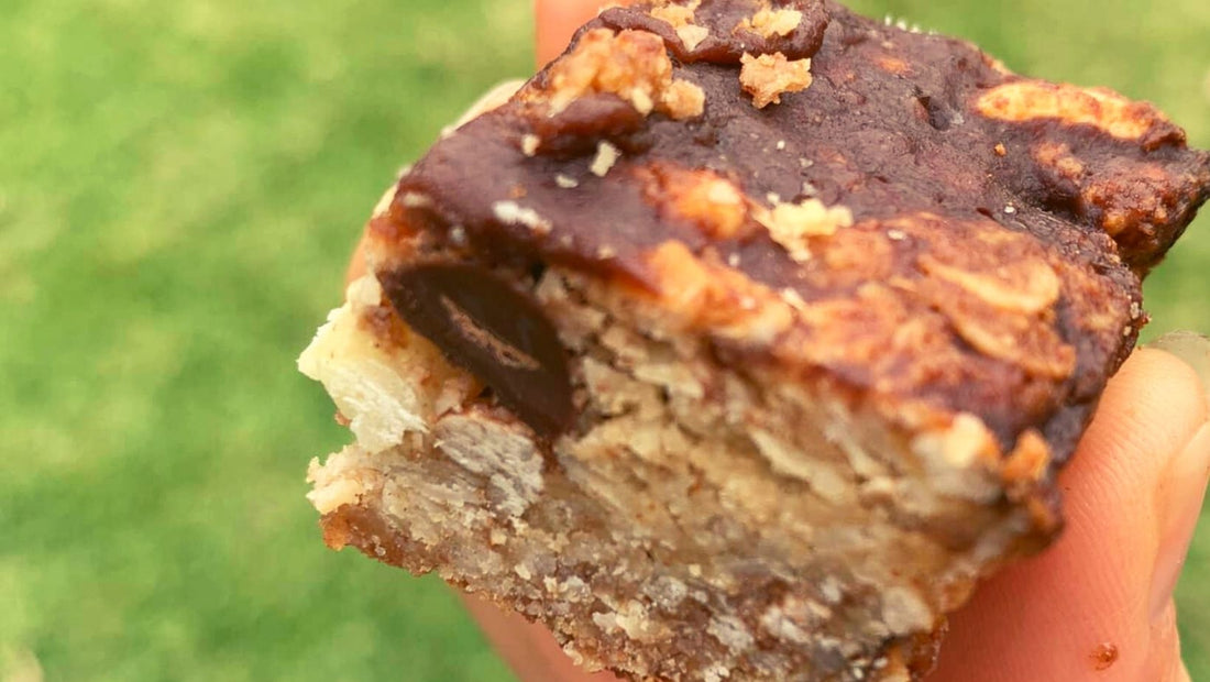 Healthy_Chocolate_peanut_Butter_Slice_Recipe_SprayFreeFarmacy