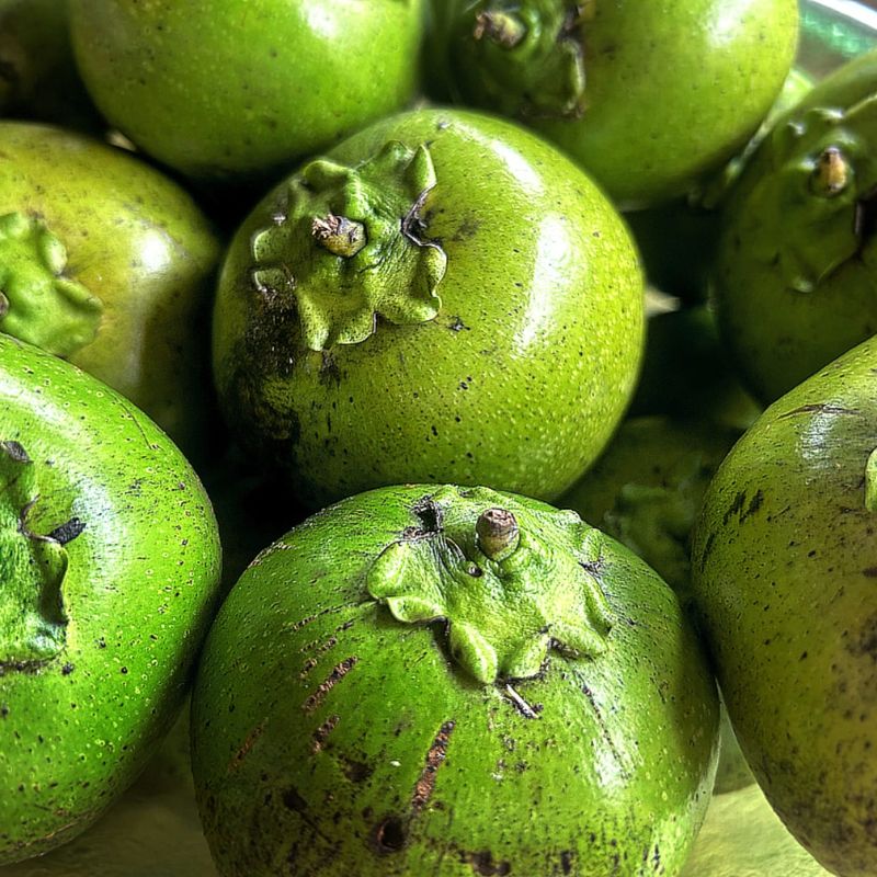 organic-black-sapote-fruit-vege-delivery-brisbane-gold-coast-queensland