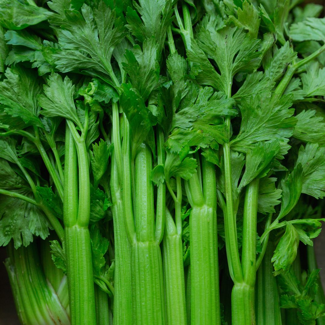 farm-fresh-spray-free-organic-fruit-and-veg-box-home-delivery-brisbane-gold-coast