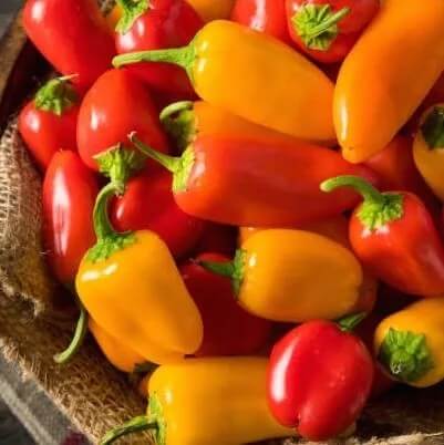 spray-free-organic-box-fruit-and-veg-box-delivery-brisbane-gold-coast