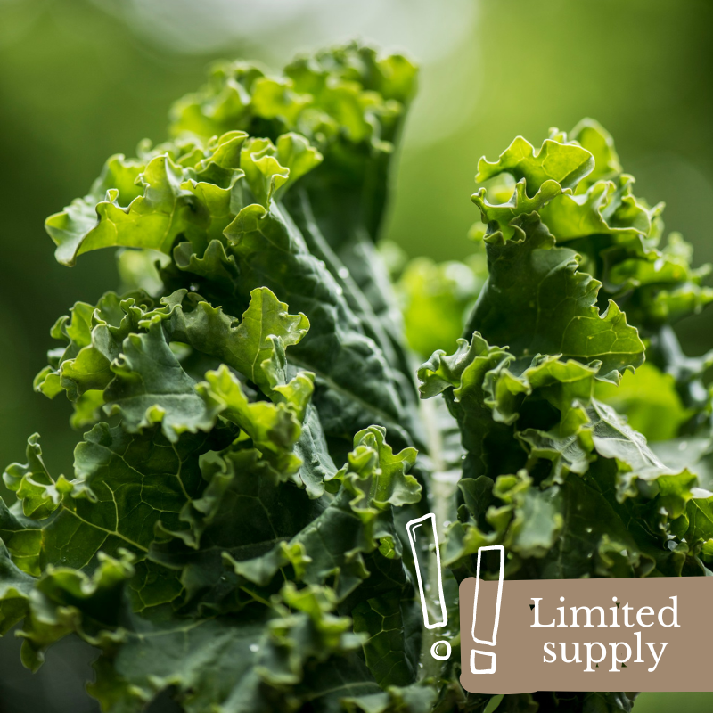 spray-free-organic-fruit-and-veg-farm-fresh-delivery-brisban-gold-coast