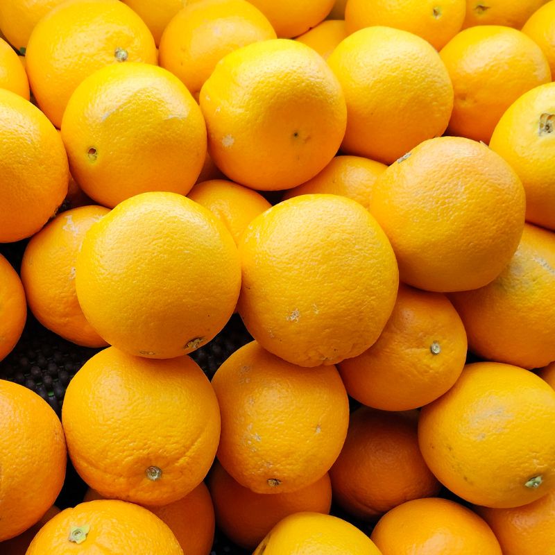 Organic Valencia Oranges