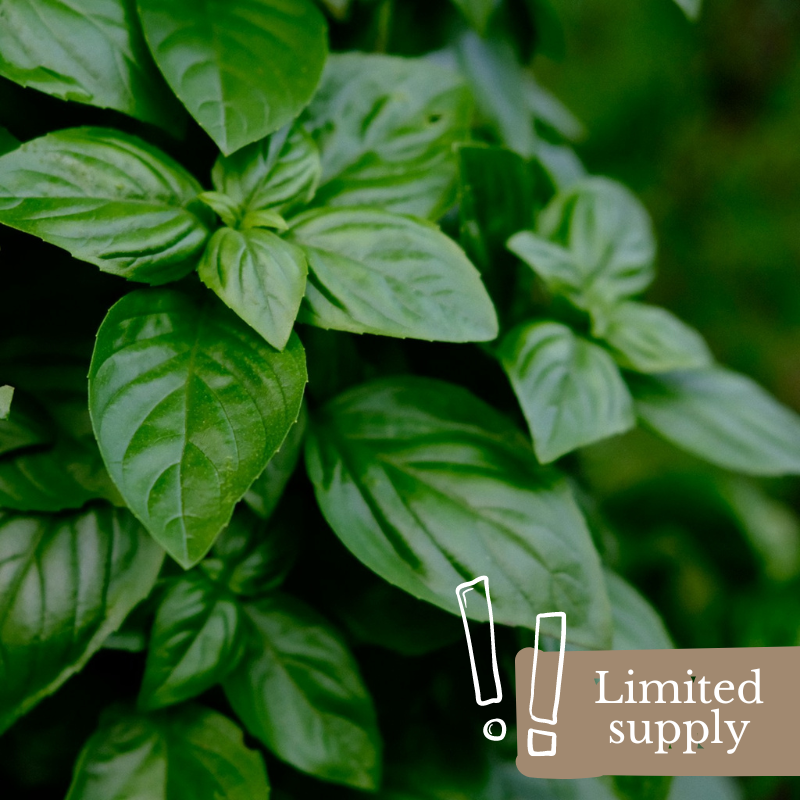 spray-free-organic-fruit-and-vegetable-shops-delivery-home-brisbane-gold-coast