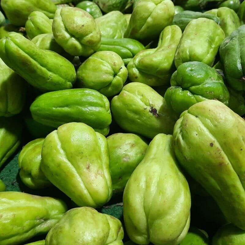 delicious choko chayote farmed organically