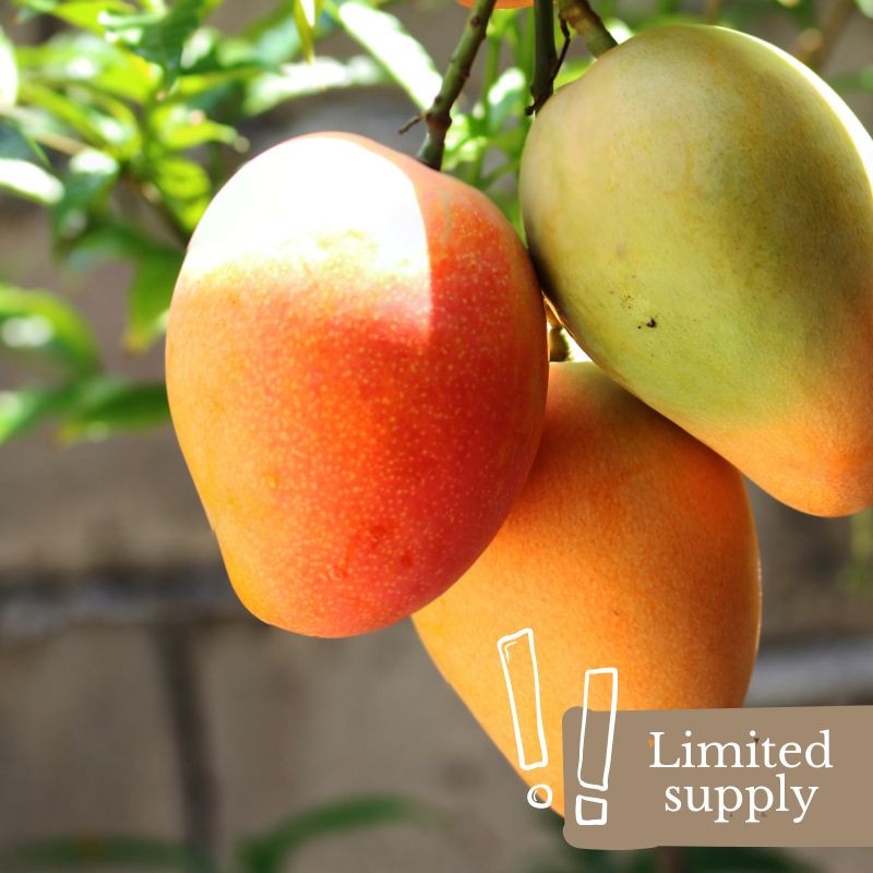 organic-fresh-spray-free-fruit-and-vegetables-home-delivery-brisbane-gold-coast