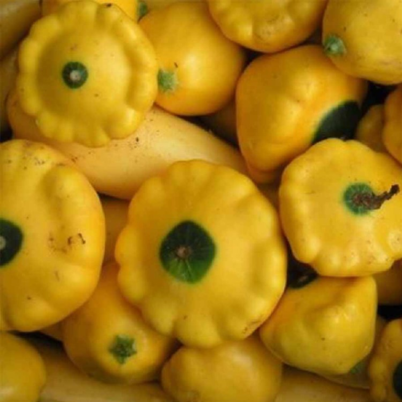 spray-free-fresh-organic-box-fruit-and-vegetables-delivery