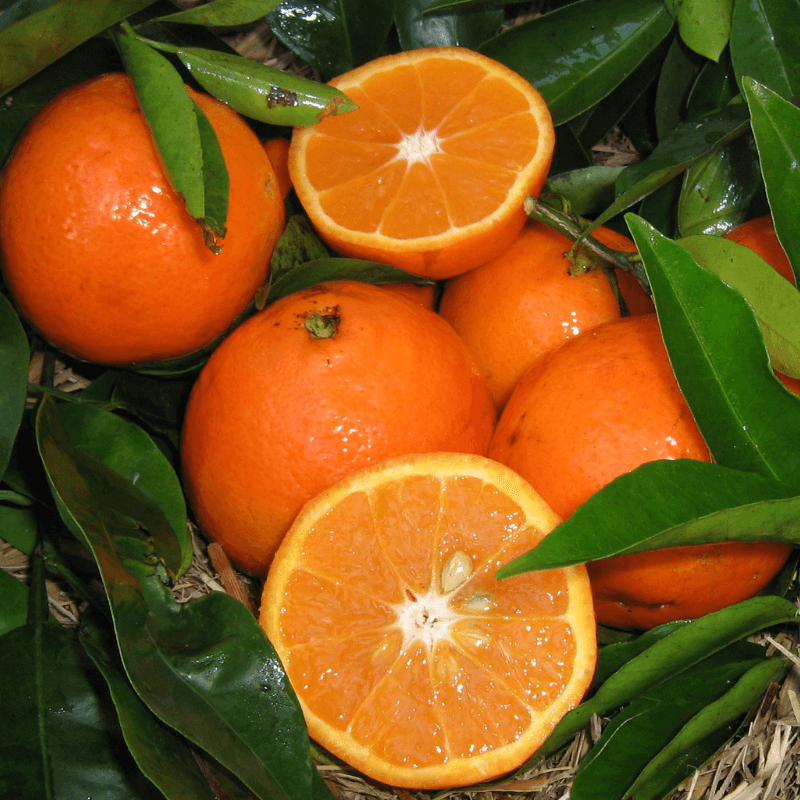 organic-spray-free-fruits-and-vegetables-home-delivery-brisbane-gold-coast