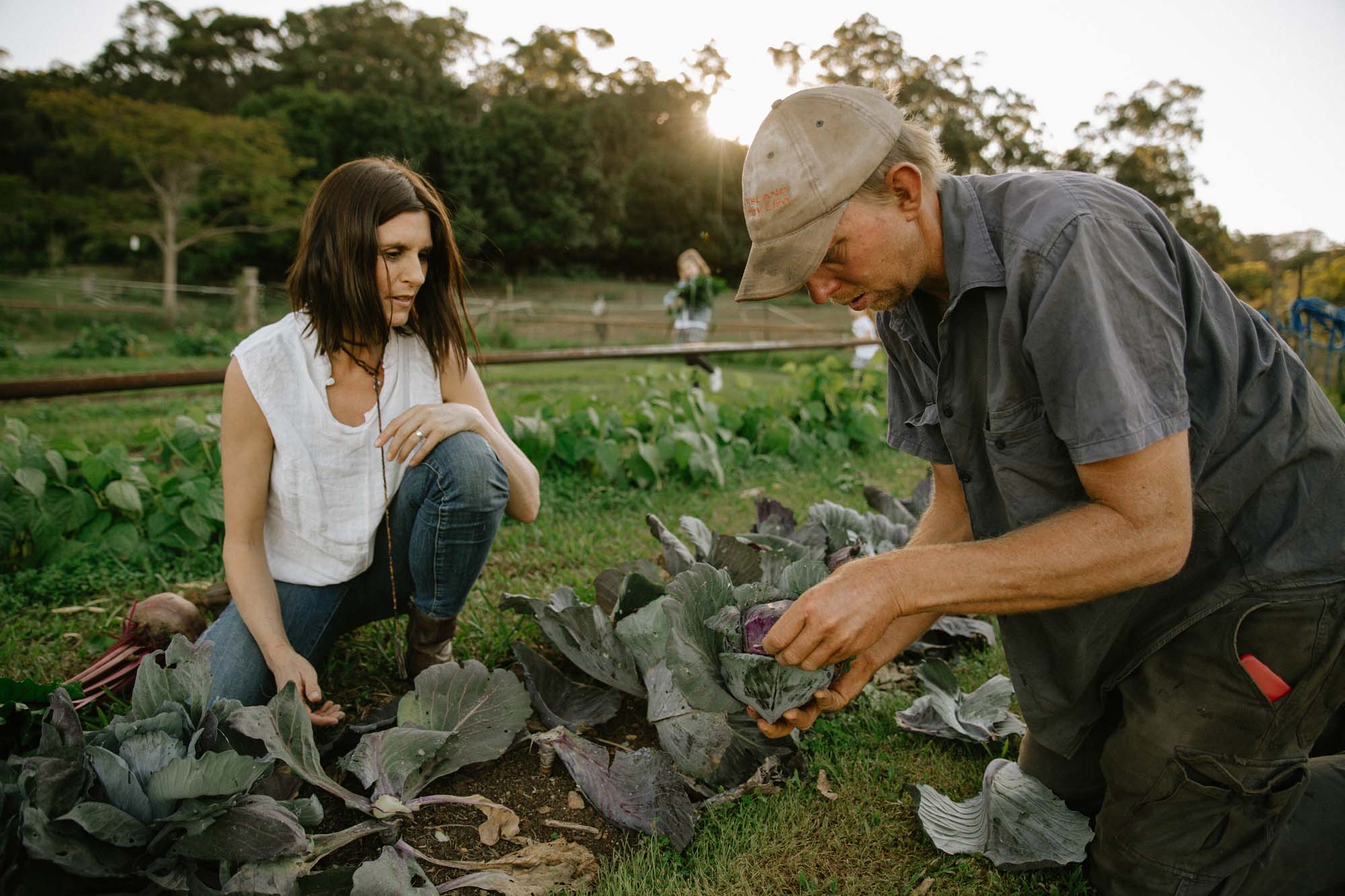picking fresh food
