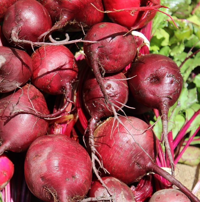 organic-fruits-and-vegetables-shops-brisbane-home-delivery-brisbane-gold-coast