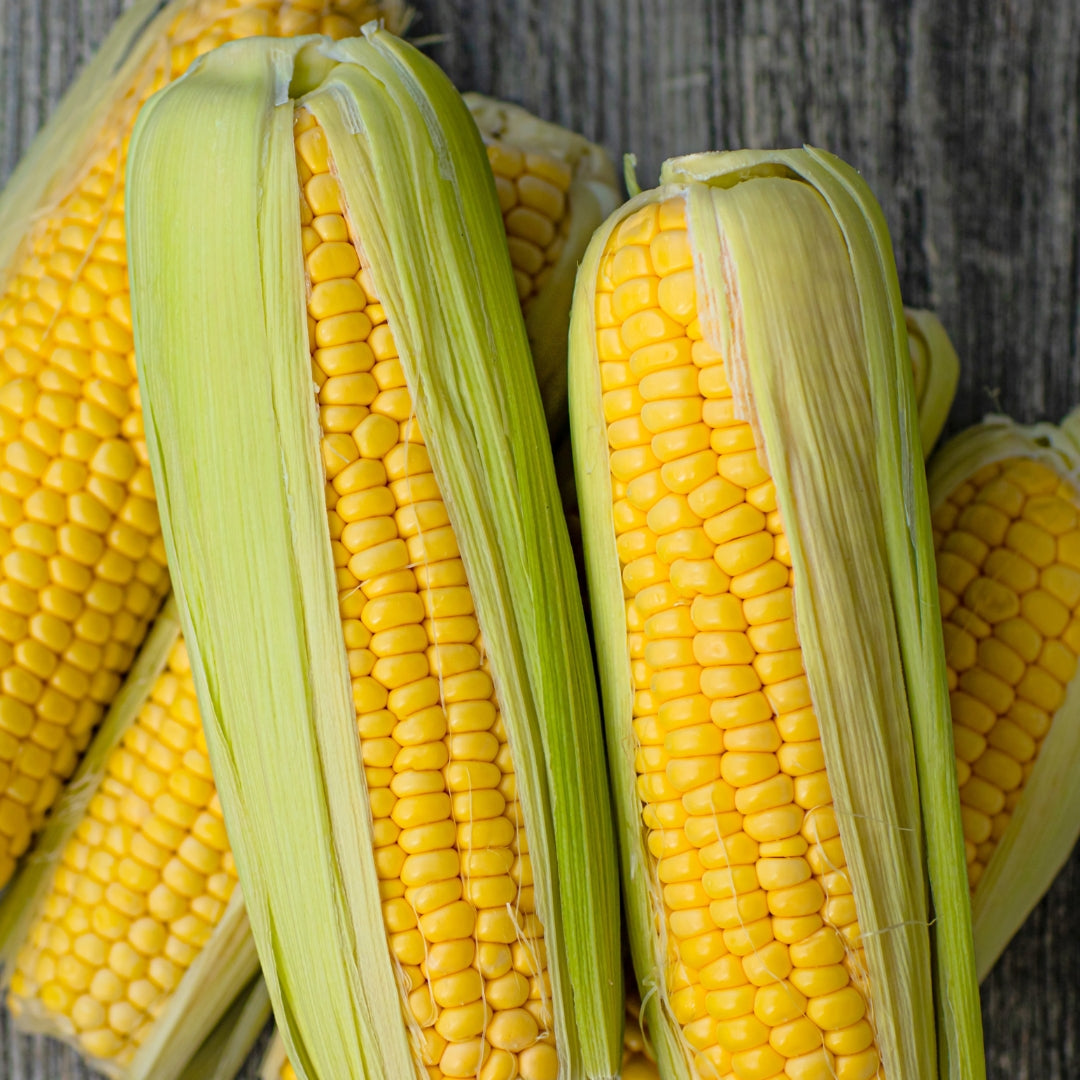 organic-farm-fresh-spray-free-fruit-and-vegetable-shops-delivery-brisbane-gold-coast