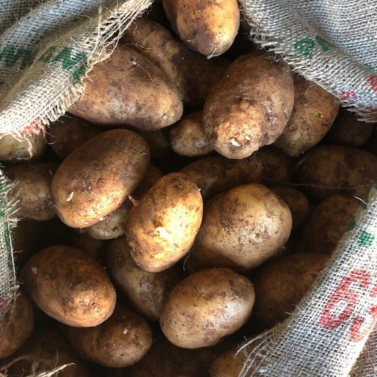 Potatoes - Dutch Cream Unwashed Organic BULK (5kg) SAVE $6