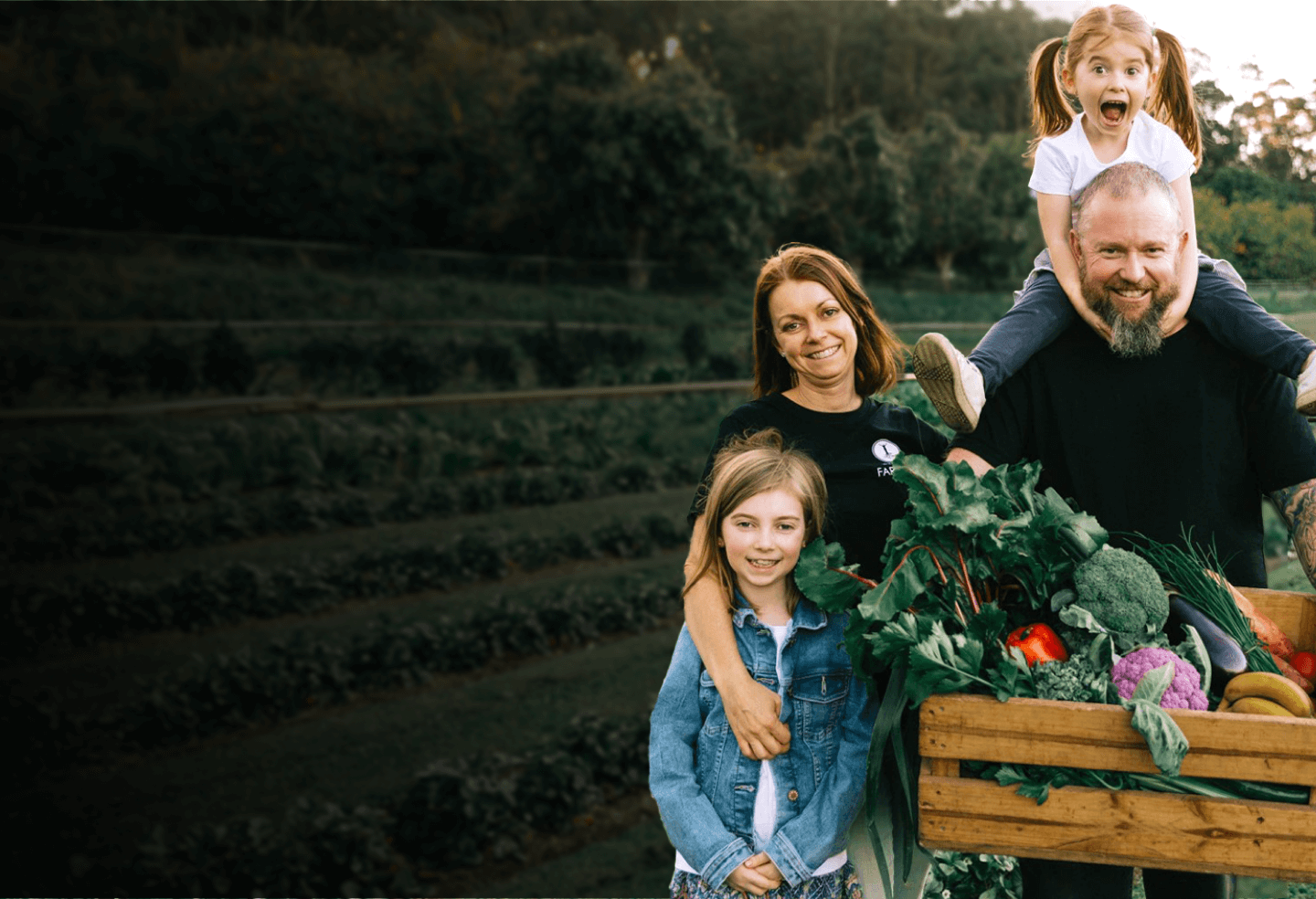 Organic Fruit and Vegetable Boxes Delivered in Brisbane