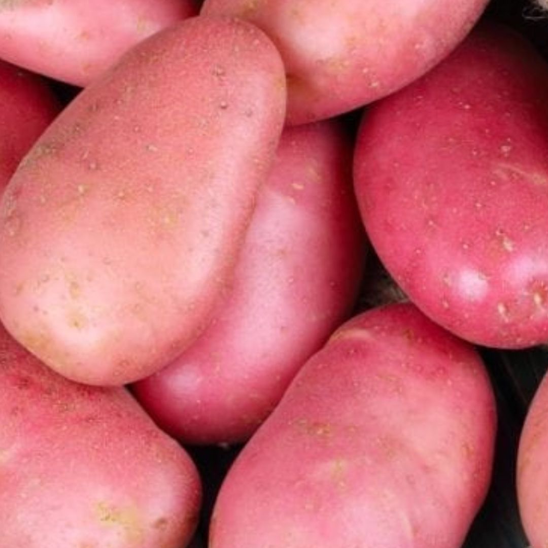 spray-free-fresh-organic-box-fruit-and-vegetables-delivered-brisbane-gold-coast