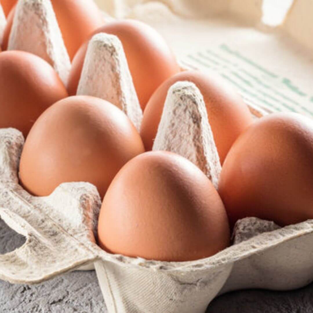 Echo-Valley-Eggs-Pastured