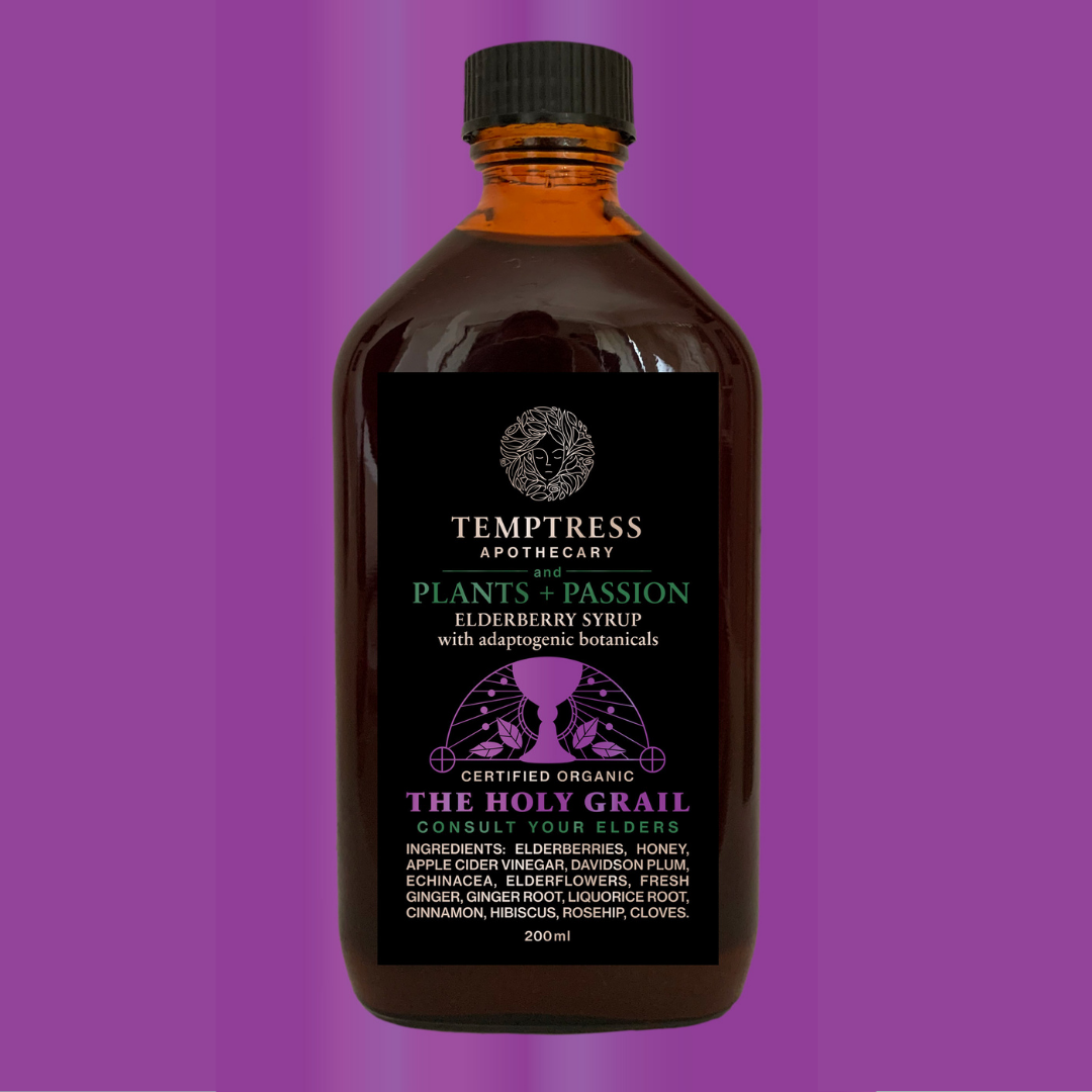 Medicinal_Elderberry_Tonic_organic_local