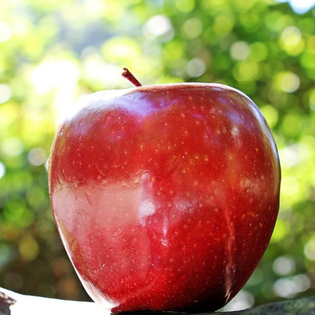 spray-free-fresh-organic-fruits-and-vegetables-delivery-brisbane-gold-coast
