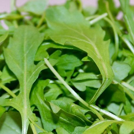 organic-farm-fresh-spray-free-fruit-and-veggie-box-delivery