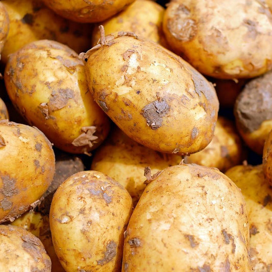 Potatoes - Sebago Organic BULK (5kg) SAVE $4.75
