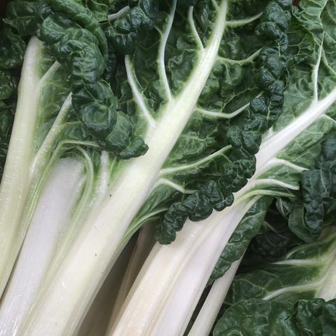 organic-fruit-and-veg-box-brisbane-gold-coast-home-delivery