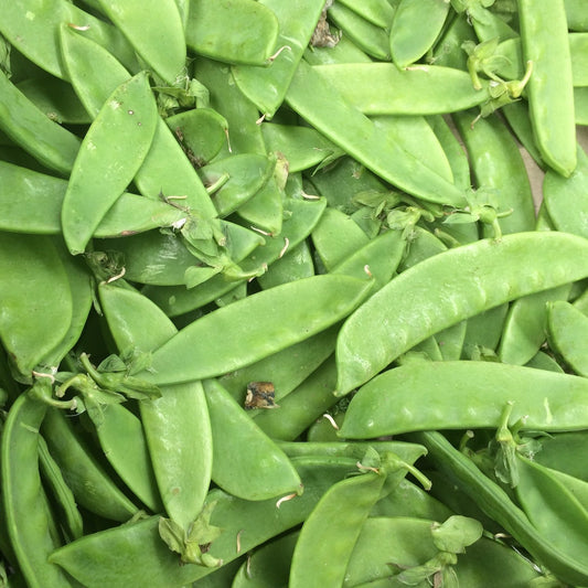 spray-free-fresh-organic-box-fruit-and-vegetables-delivery