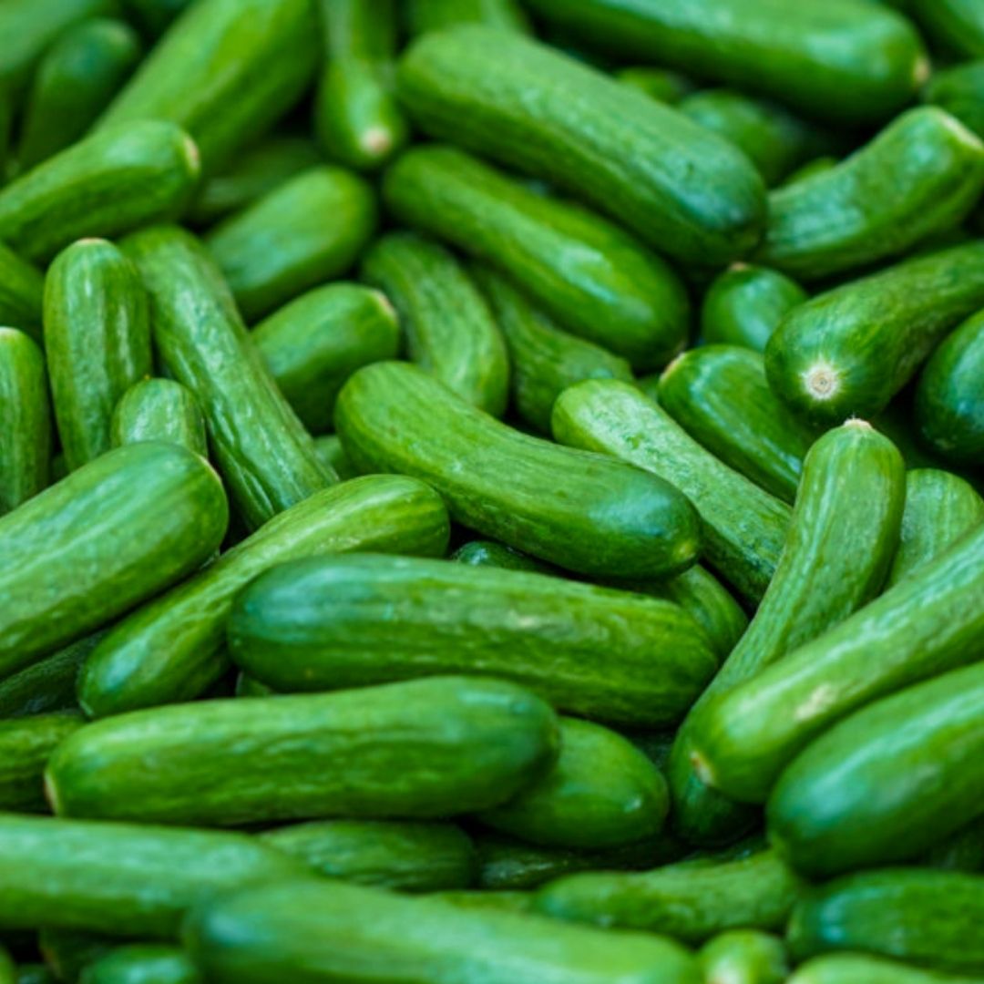 spray-free-fresh-organic-fruit-and-veggie-store-home-delivery-brisbane-gold-coast