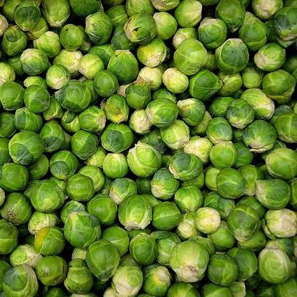 spray-free-organic-fruit-vegetables-home-stores-delivery-brisbane-gold-coast