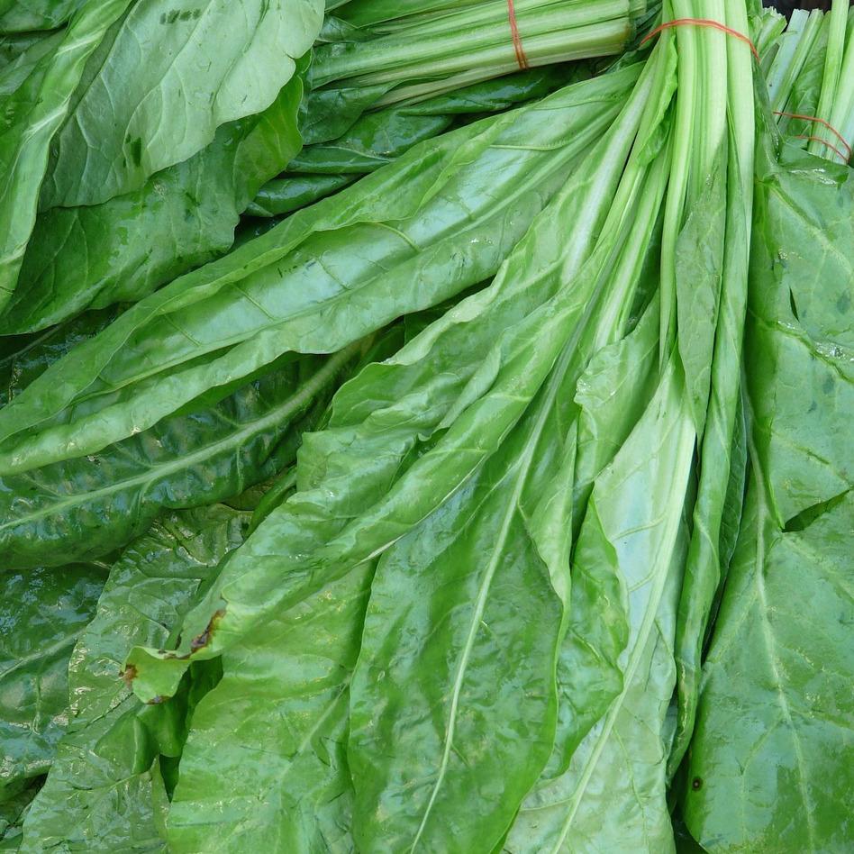 English Spinach - Green Spray-Free (bunch)