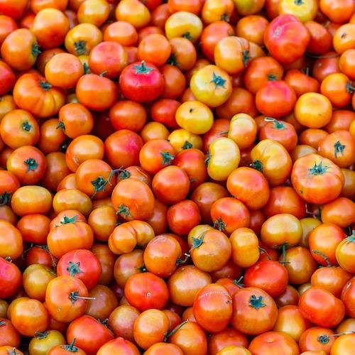 farm-fresh-spray-free-organic-fruit-and-vegetables-shops-delivery