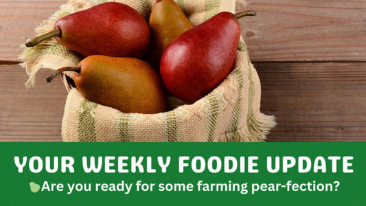 Basket full of pears