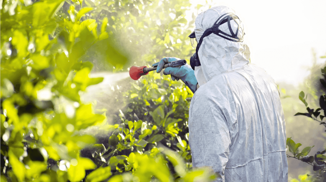 Person spraying crops in a protective suit, highlighting conventional farming practices contrasted with organic food delivery in Brisbane