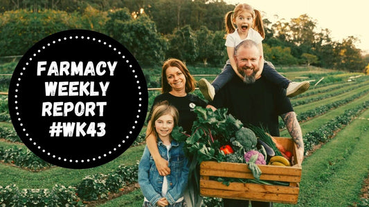 organic-food-brisbane-delivered