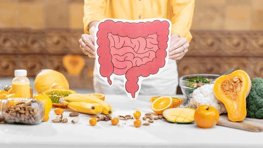 Person holding an illustration of the digestive system surrounded by fresh fruit and vegetables, highlighting gut health supported by organic food