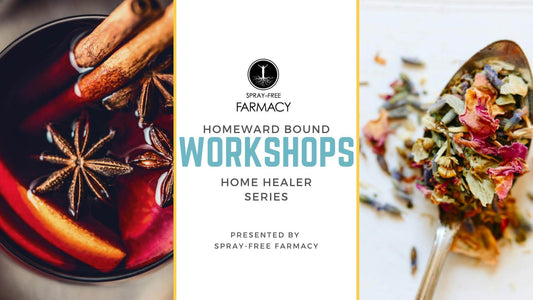 Homeward Bound Workshops