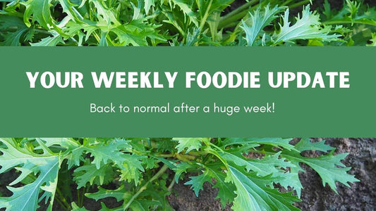 Farmacy Weekly Report Week #10 2022