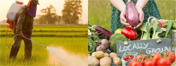 Who’s growing your food?