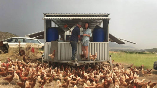 Randal & Juanita Breen - Eggs - Echo Valley Farm