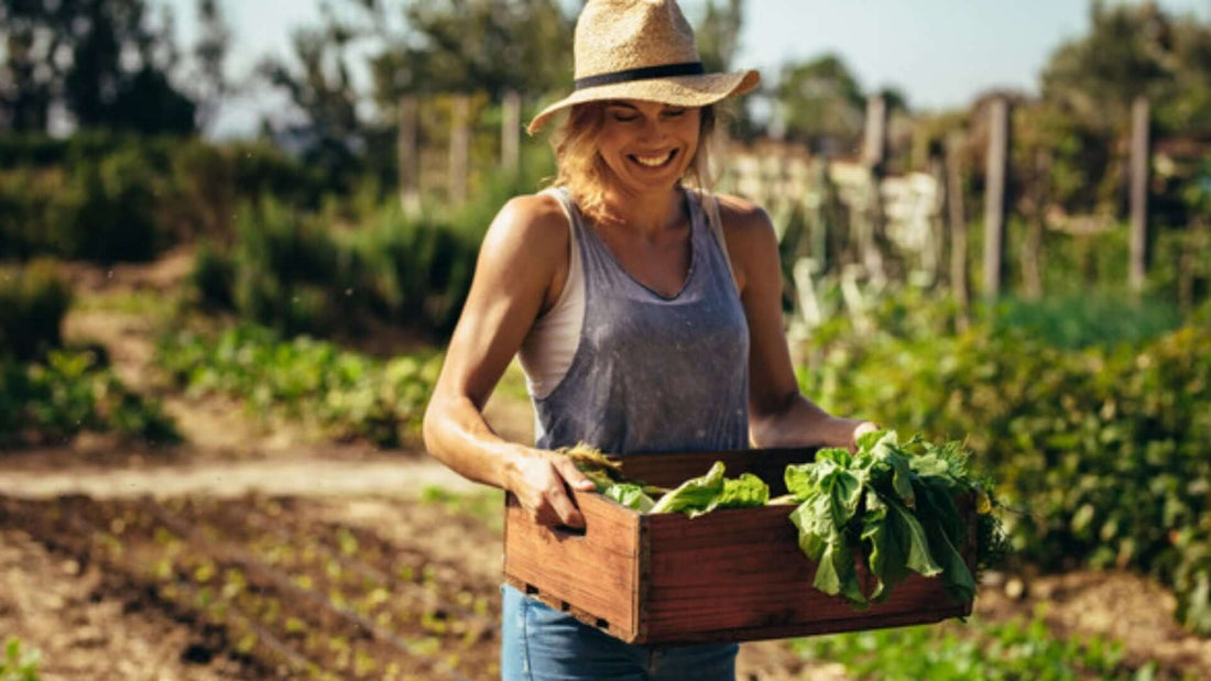 The Rise of the Locavore - It's a beautiful thing