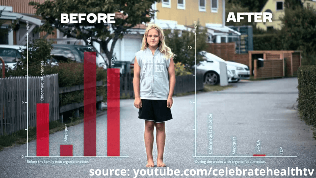 This Conventional Family Ate Only Organic Food For 2 Weeks