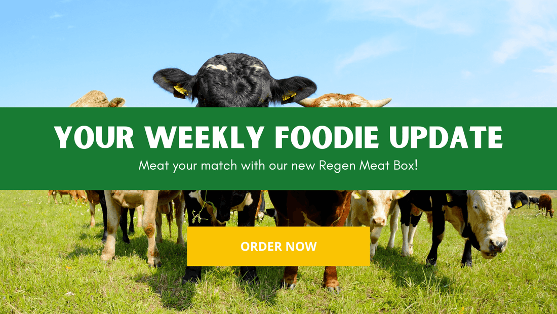 Cows grazing on the field