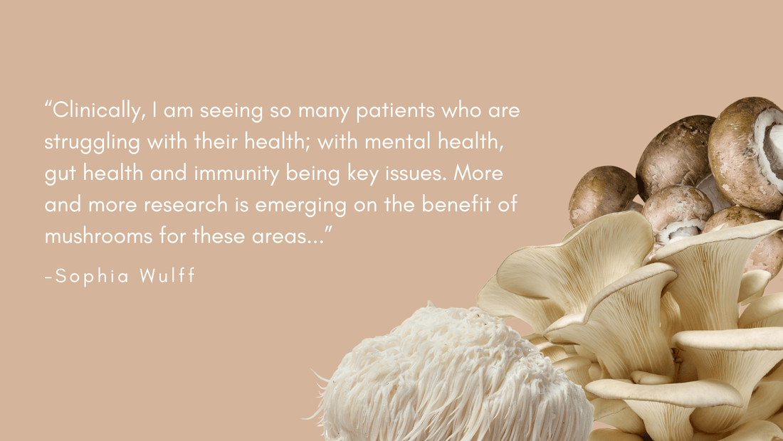 Wulff & Cub: How These Fungis are Changing the Game