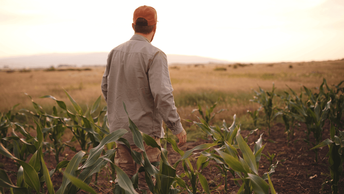 farmer-mental-health-suicide-prevention-australia-regenerative-farming-organic
