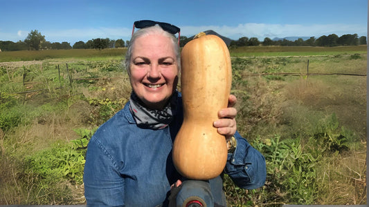 Ange & Steve Pennell - Organic Vegetables - Scenic Rim Organics