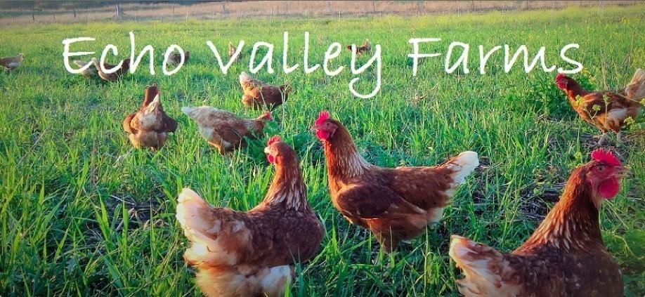 Want to visit Echo Valley Farm with us?